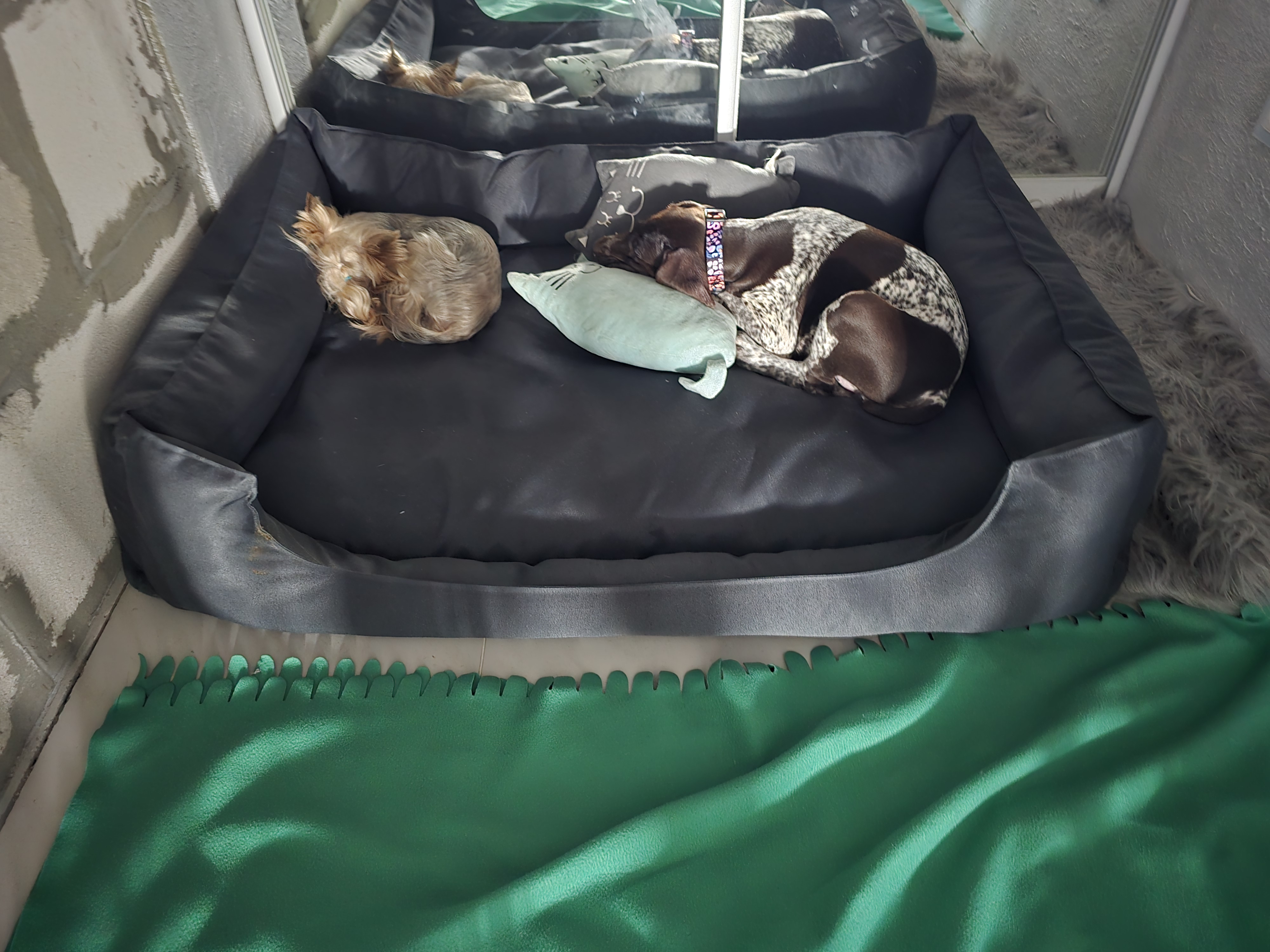 Веста играет