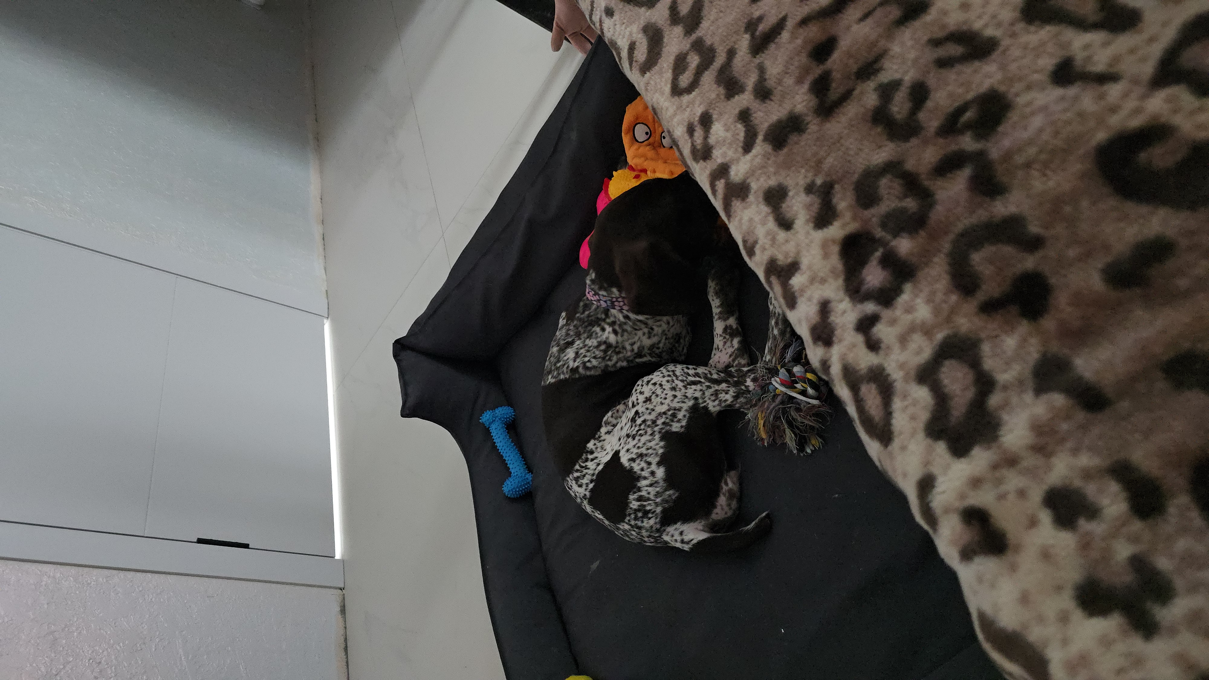 Апрель прогулка