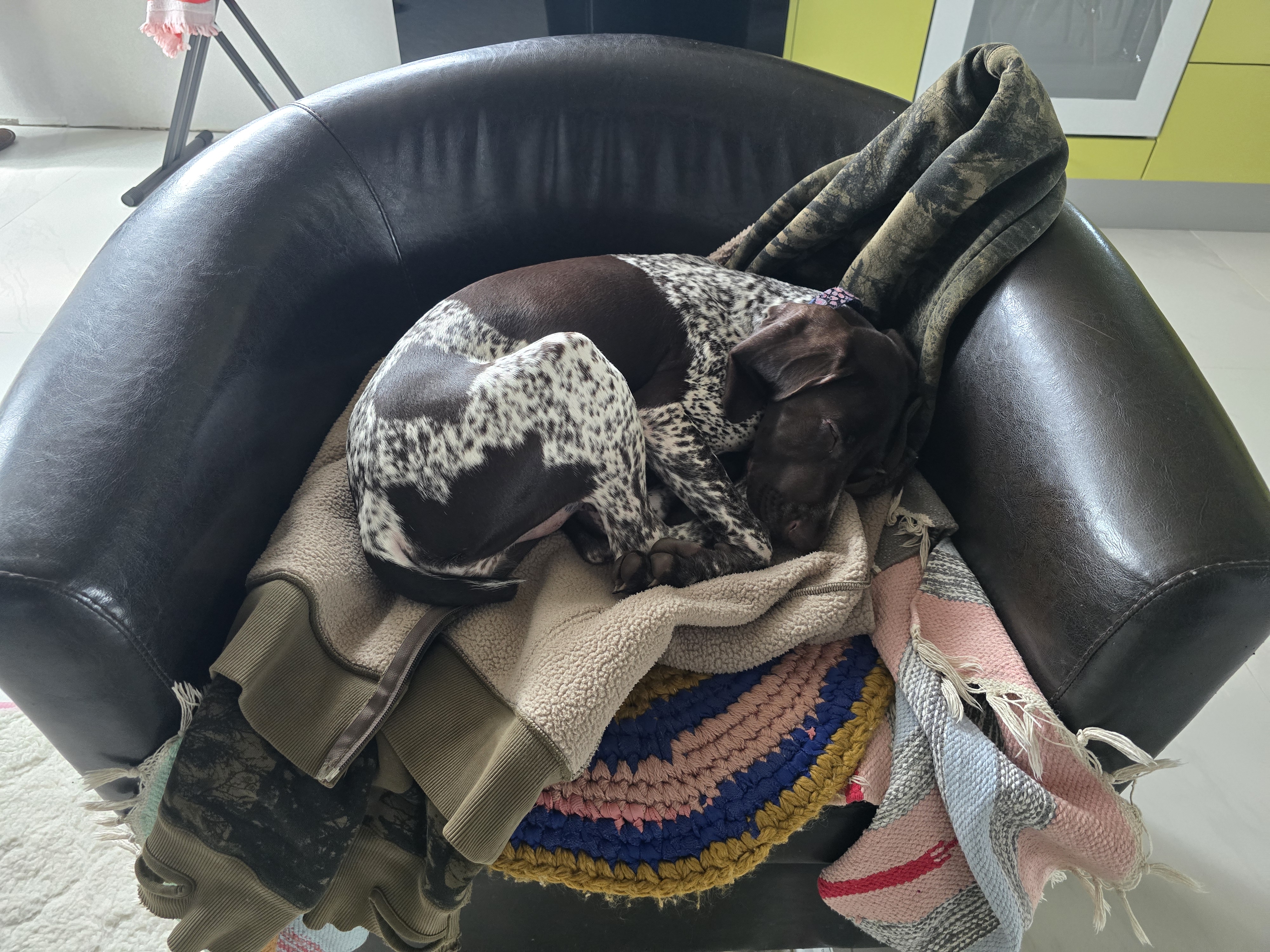 Утренняя прогулка