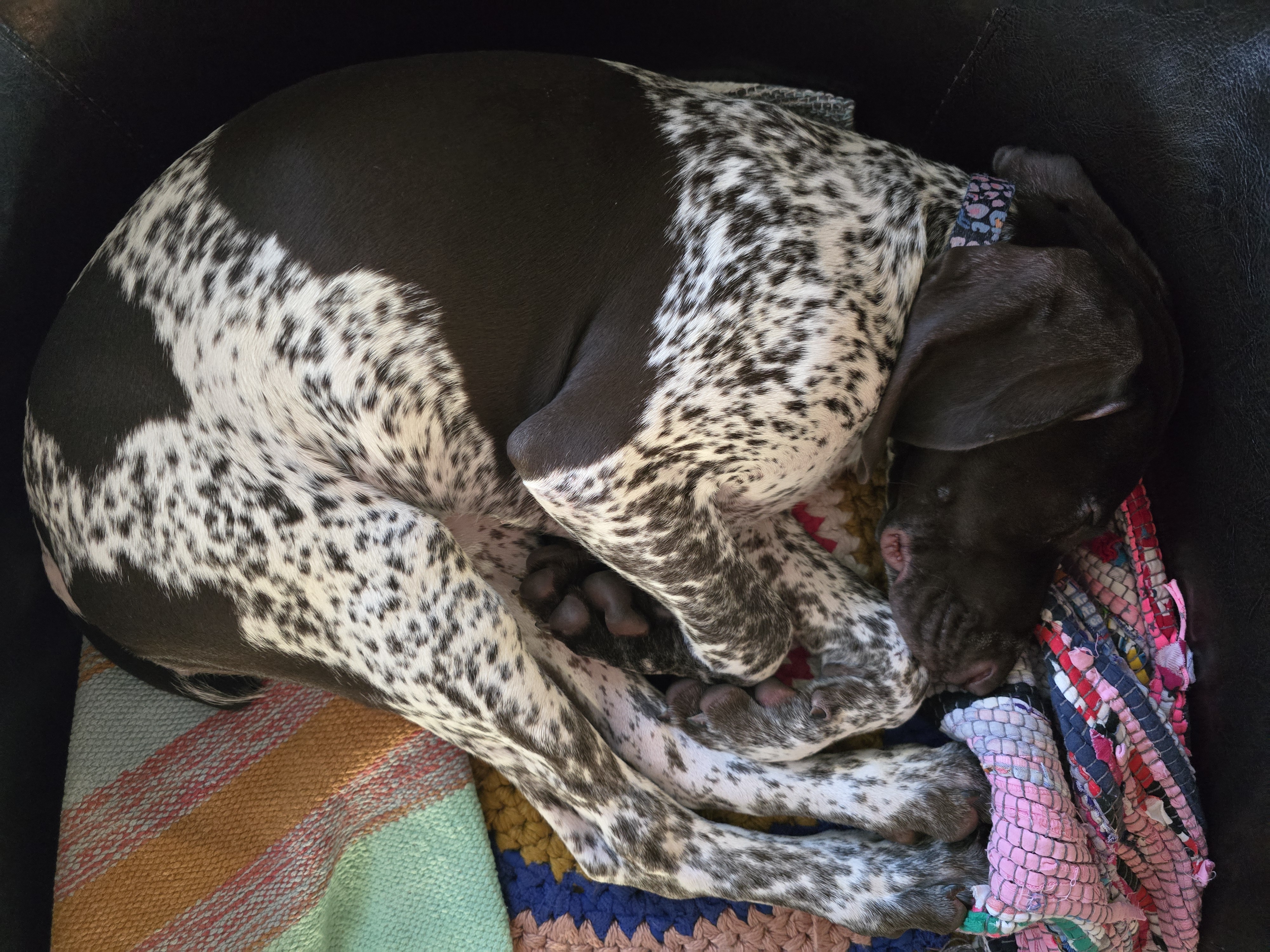 Май прогулка