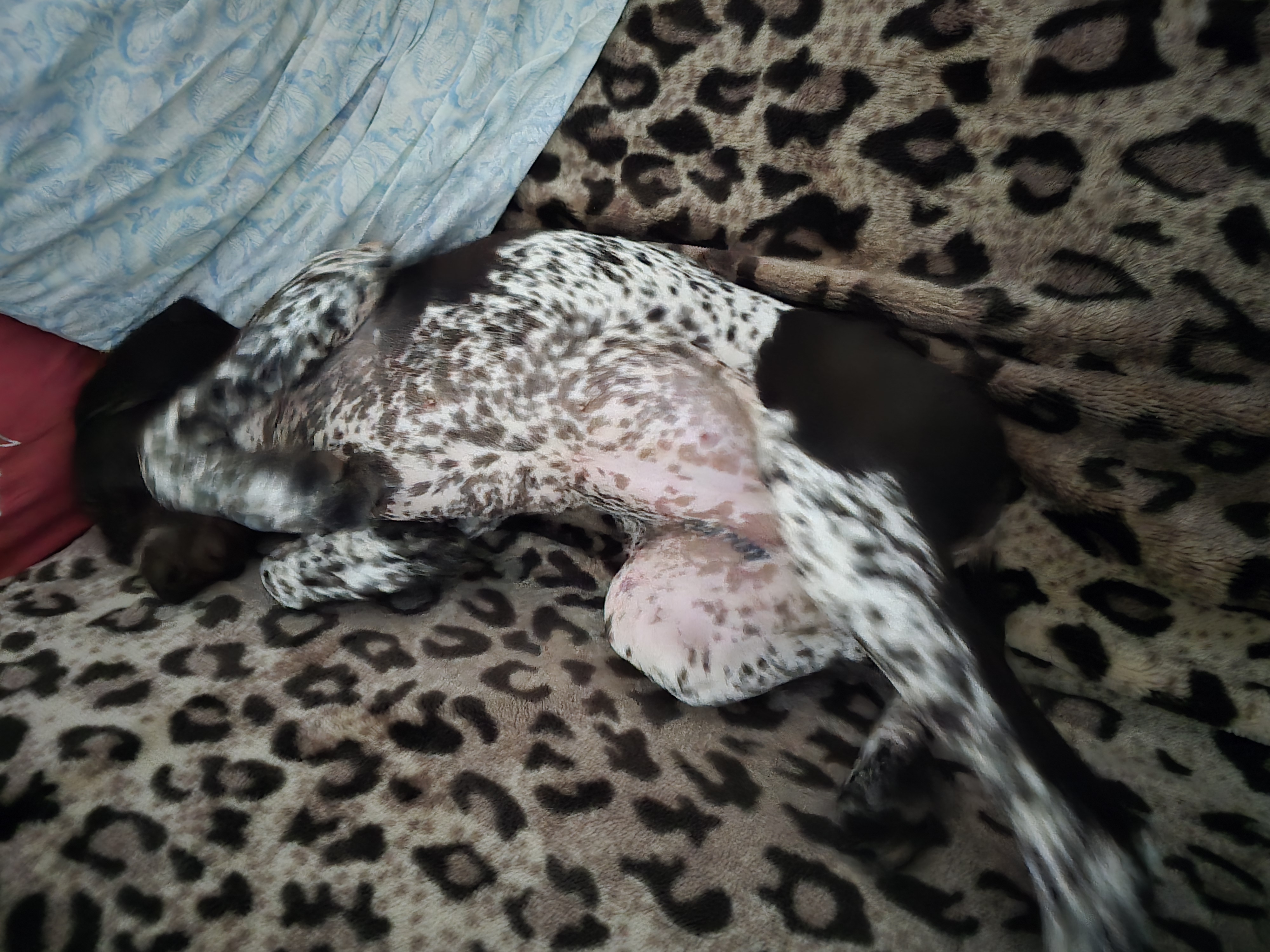 Лето начинается