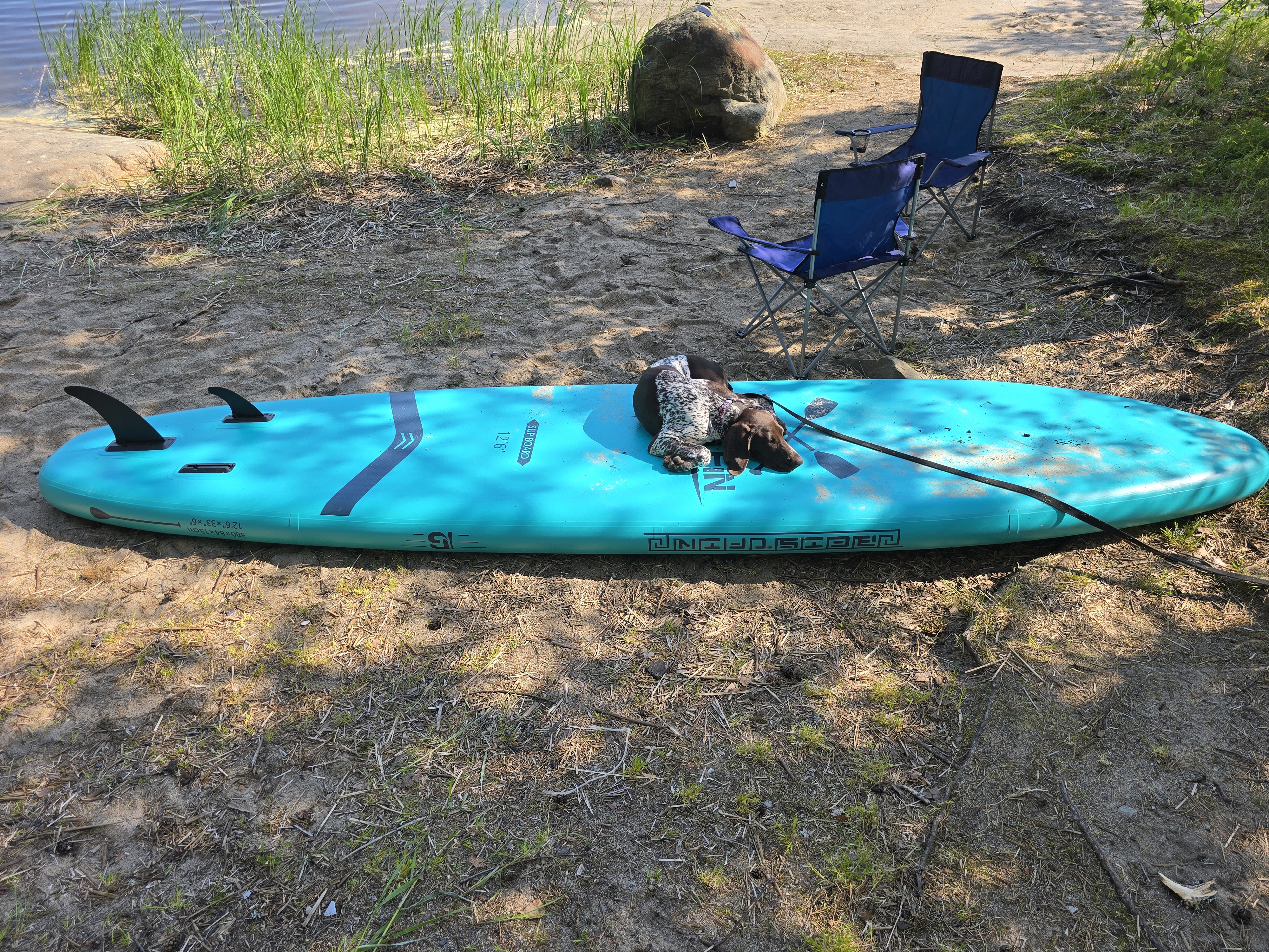 Июнь прогулка