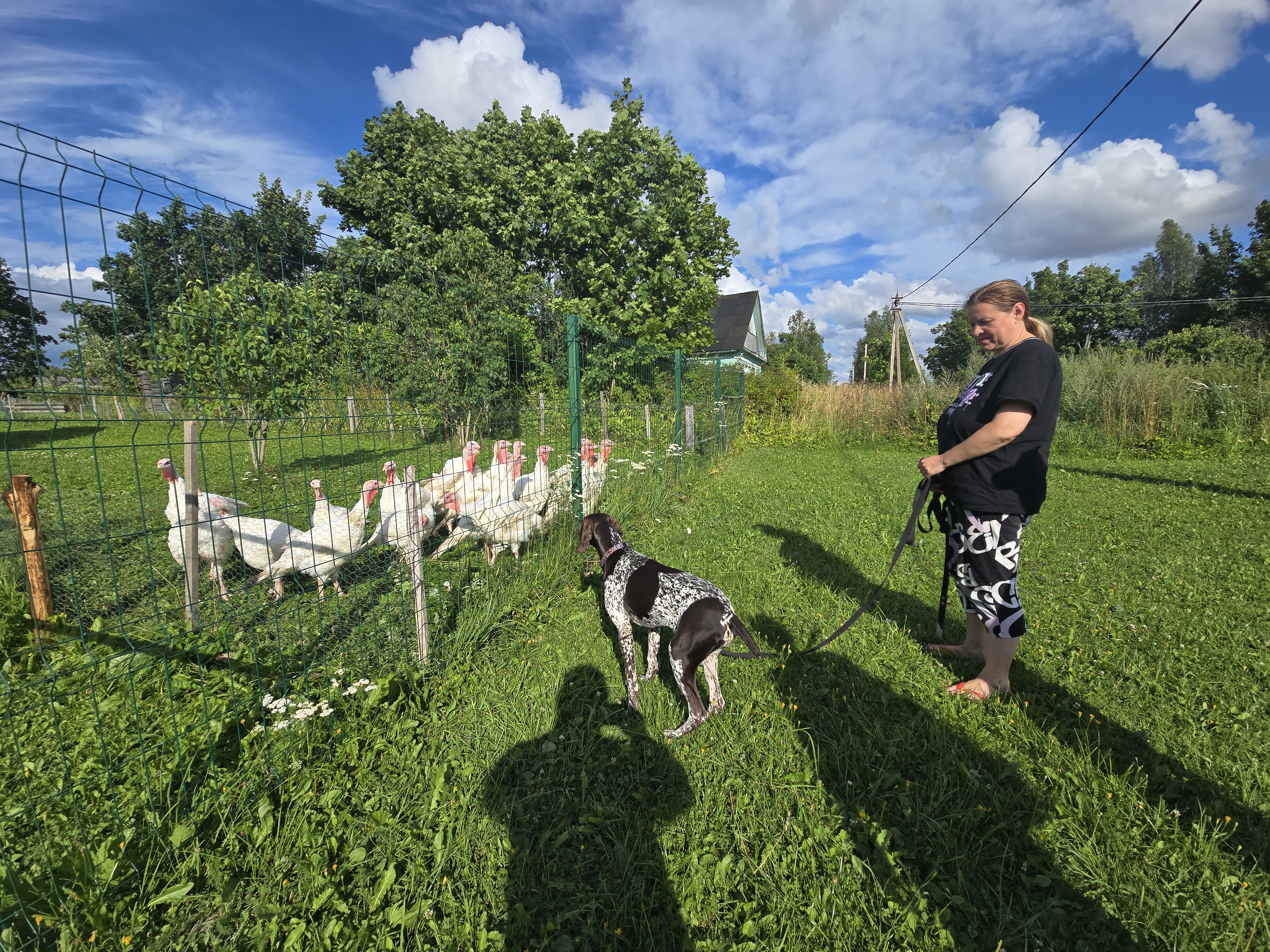 Август жара