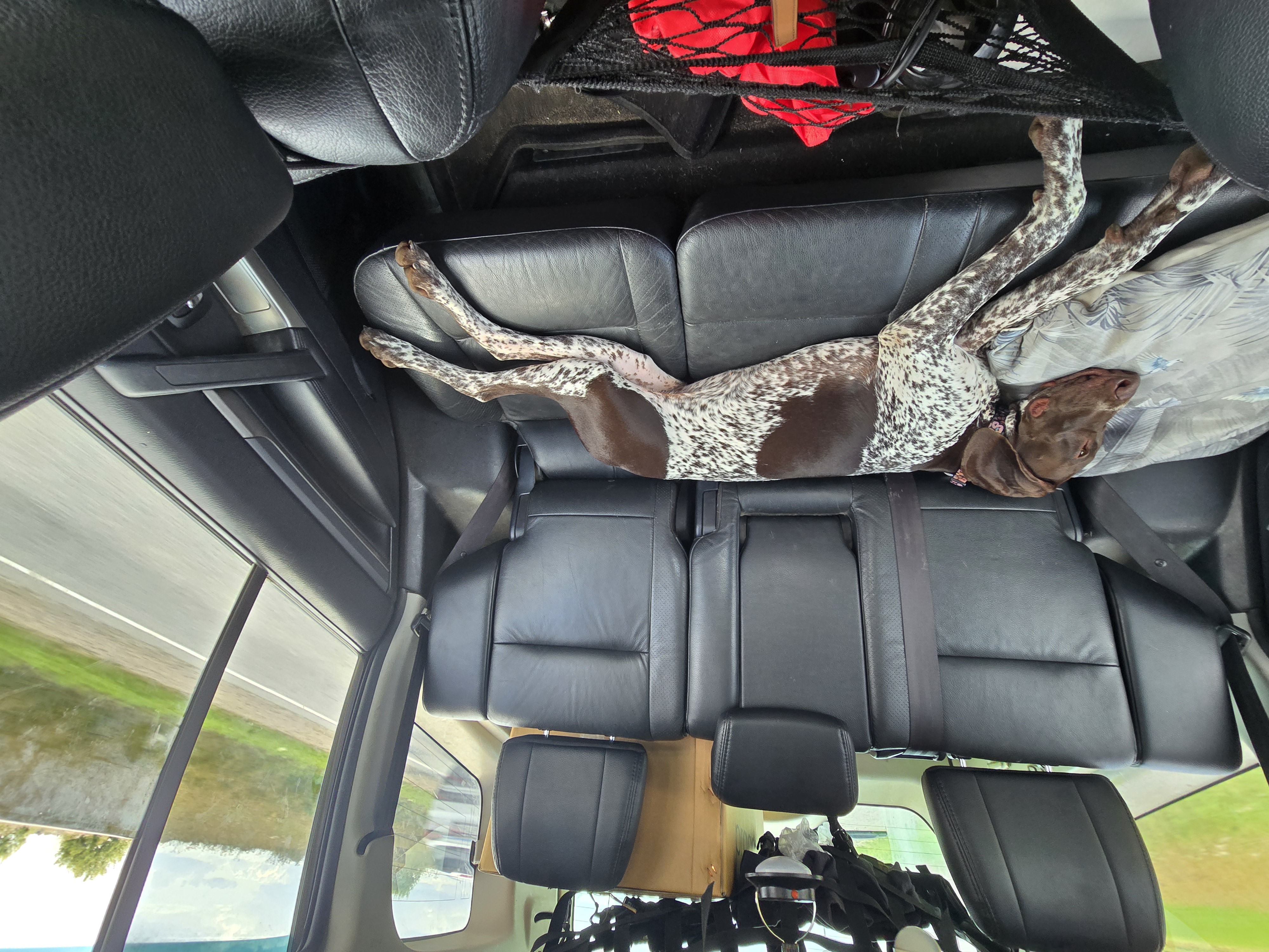 Август прогулка