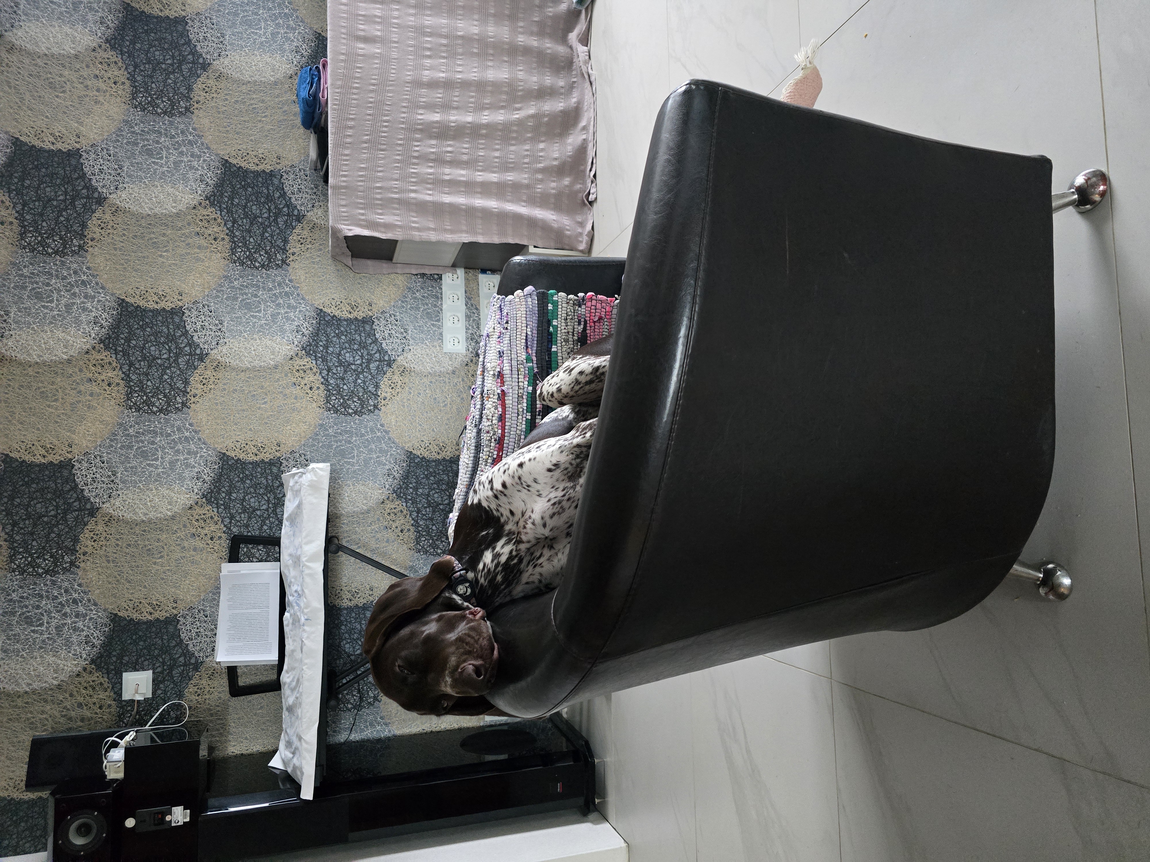 Август утро