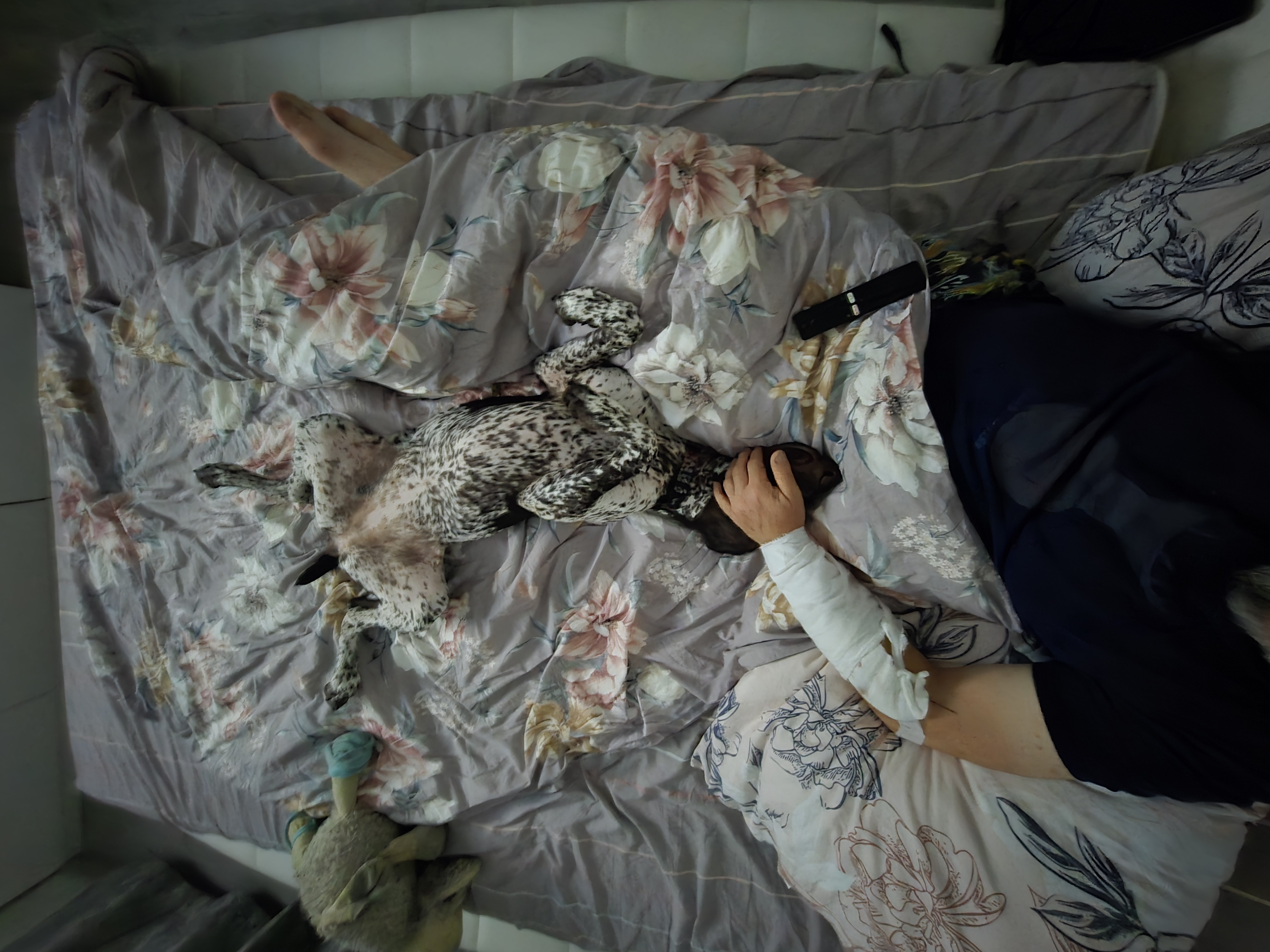 Сентябрь 2025