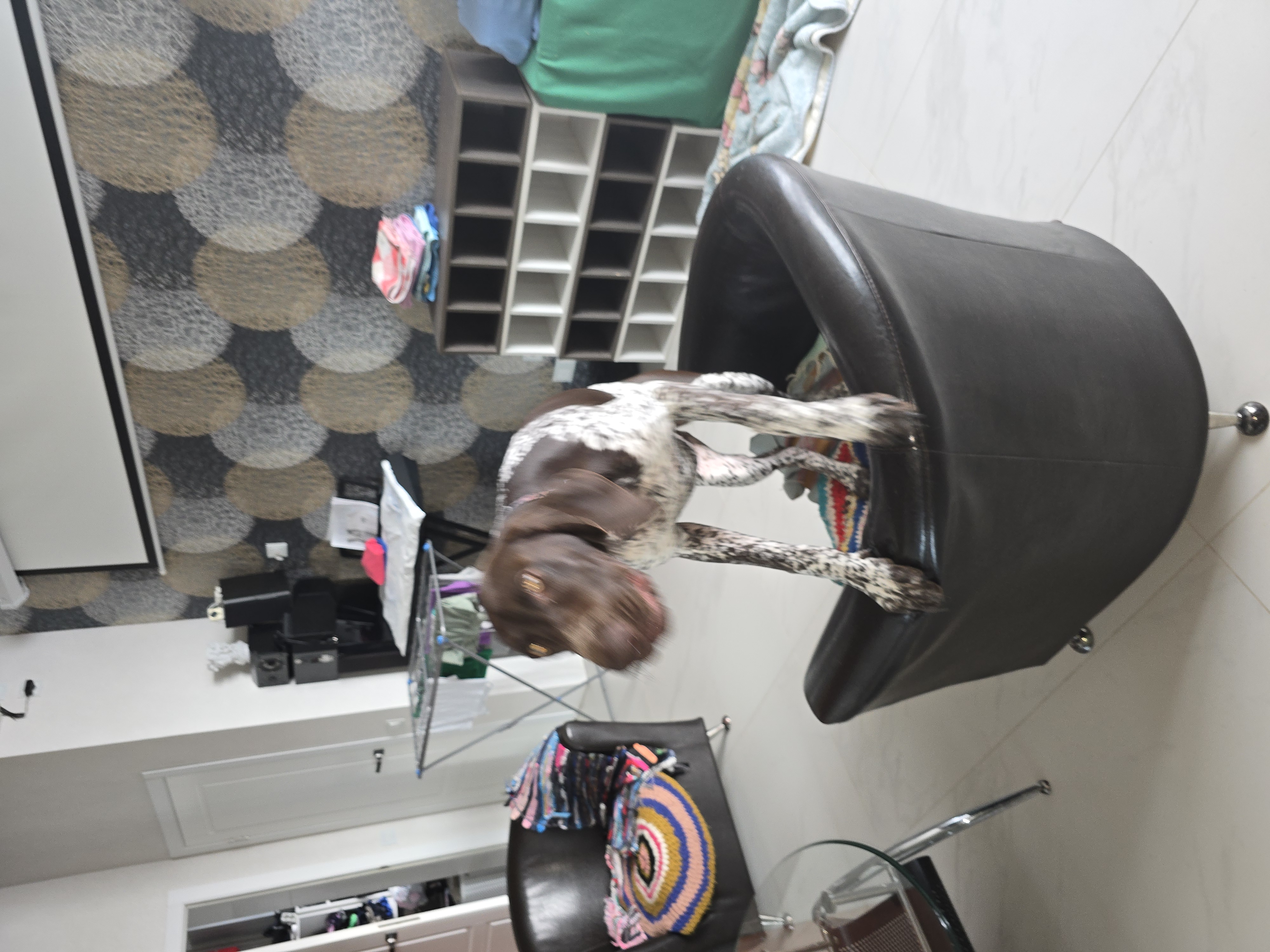 Осень начало