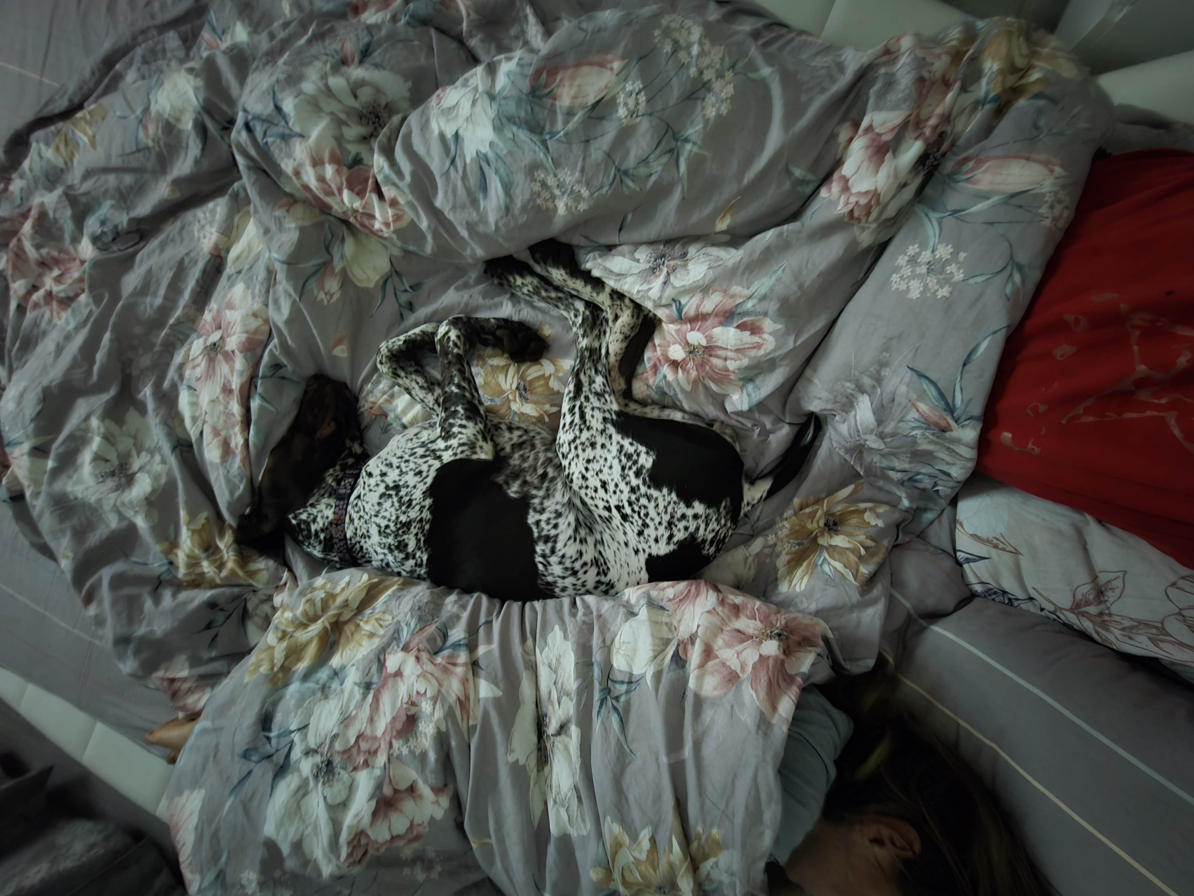 Сентябрь вечер