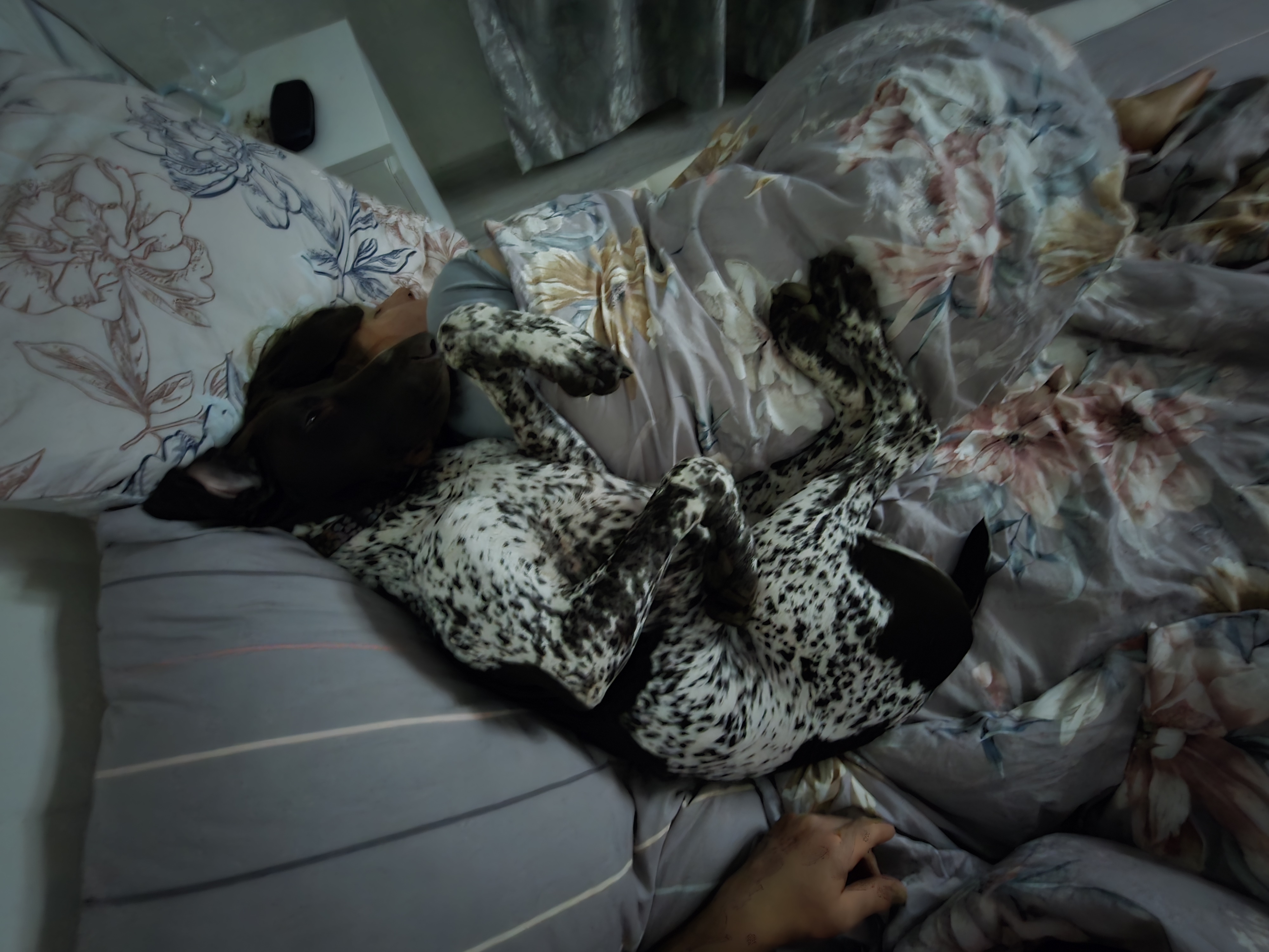 Ночная прогулка