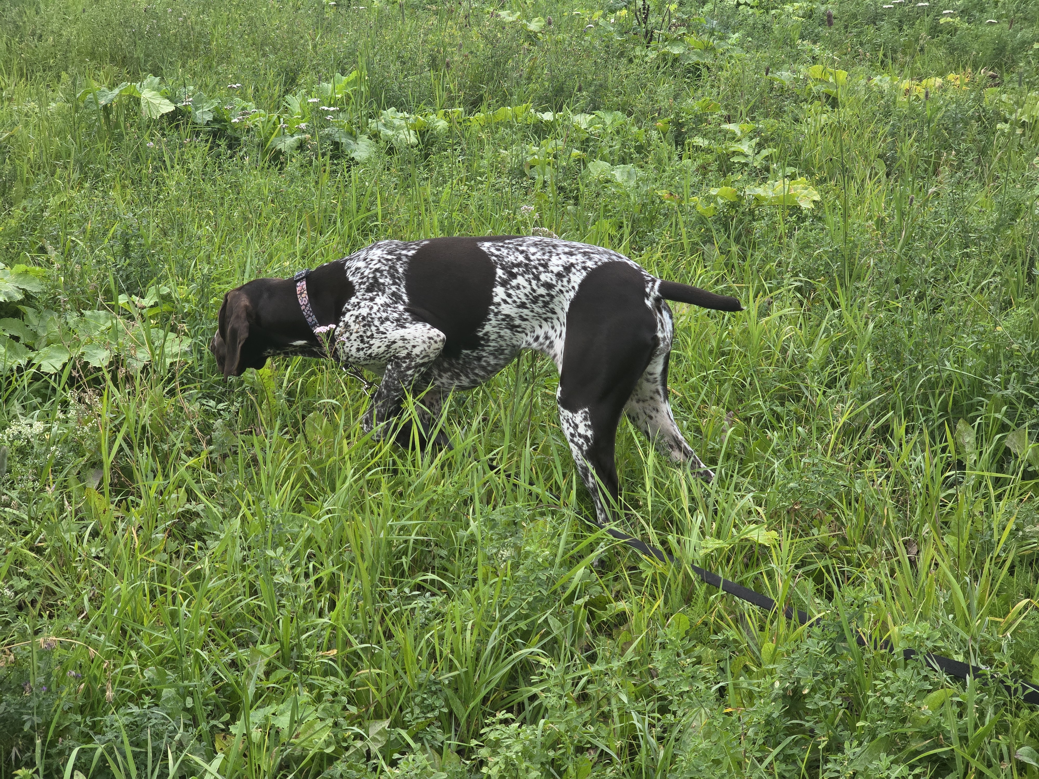 Осенняя прогулка