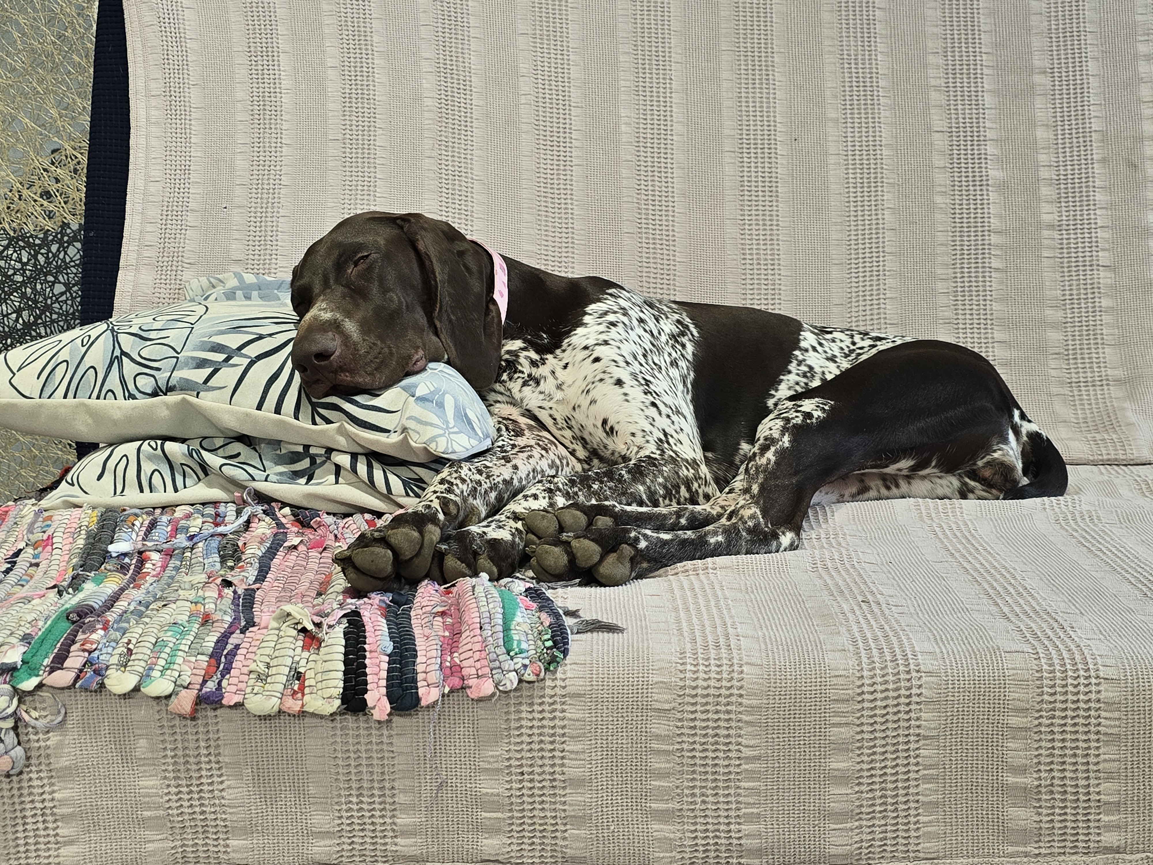 Сентябрь лес