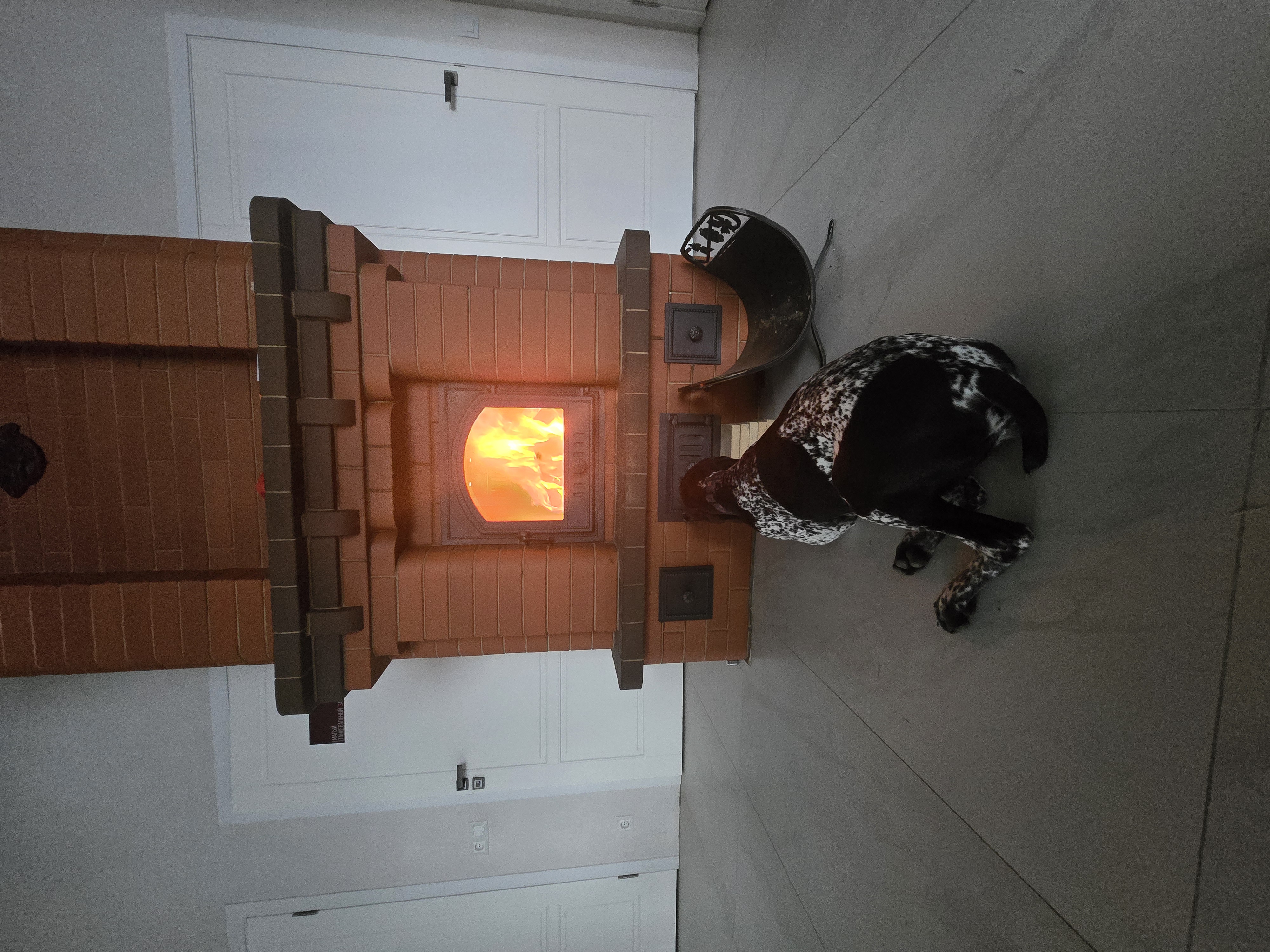 Осенние прогулки