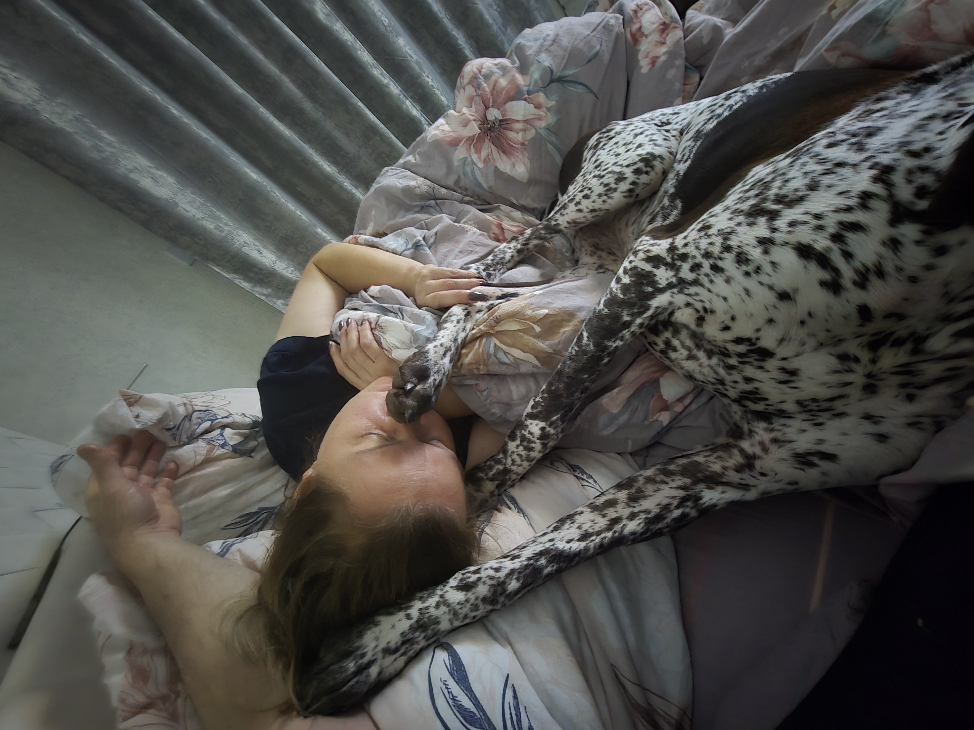 Октябрь вечер