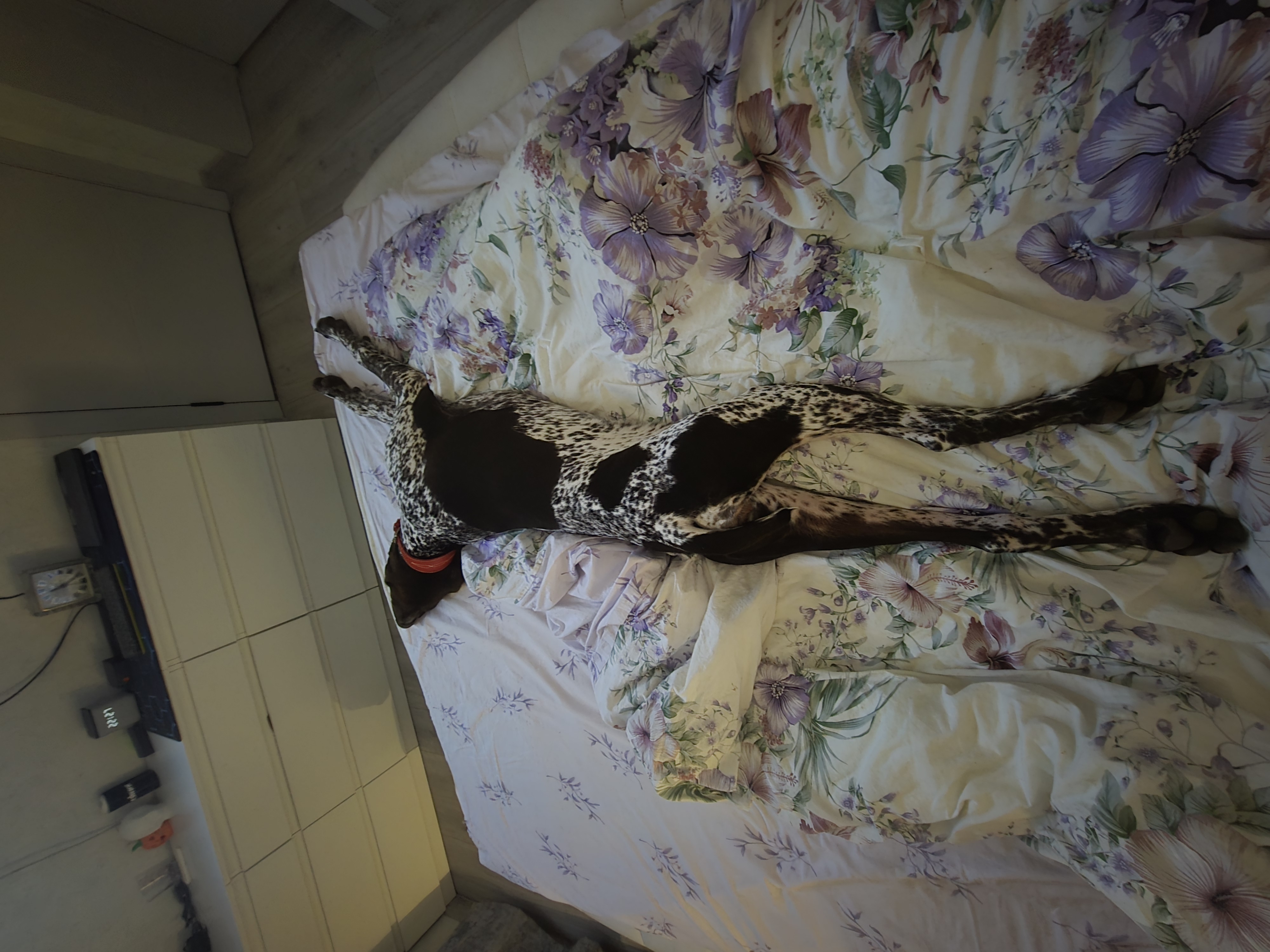 Ноябрь вечер