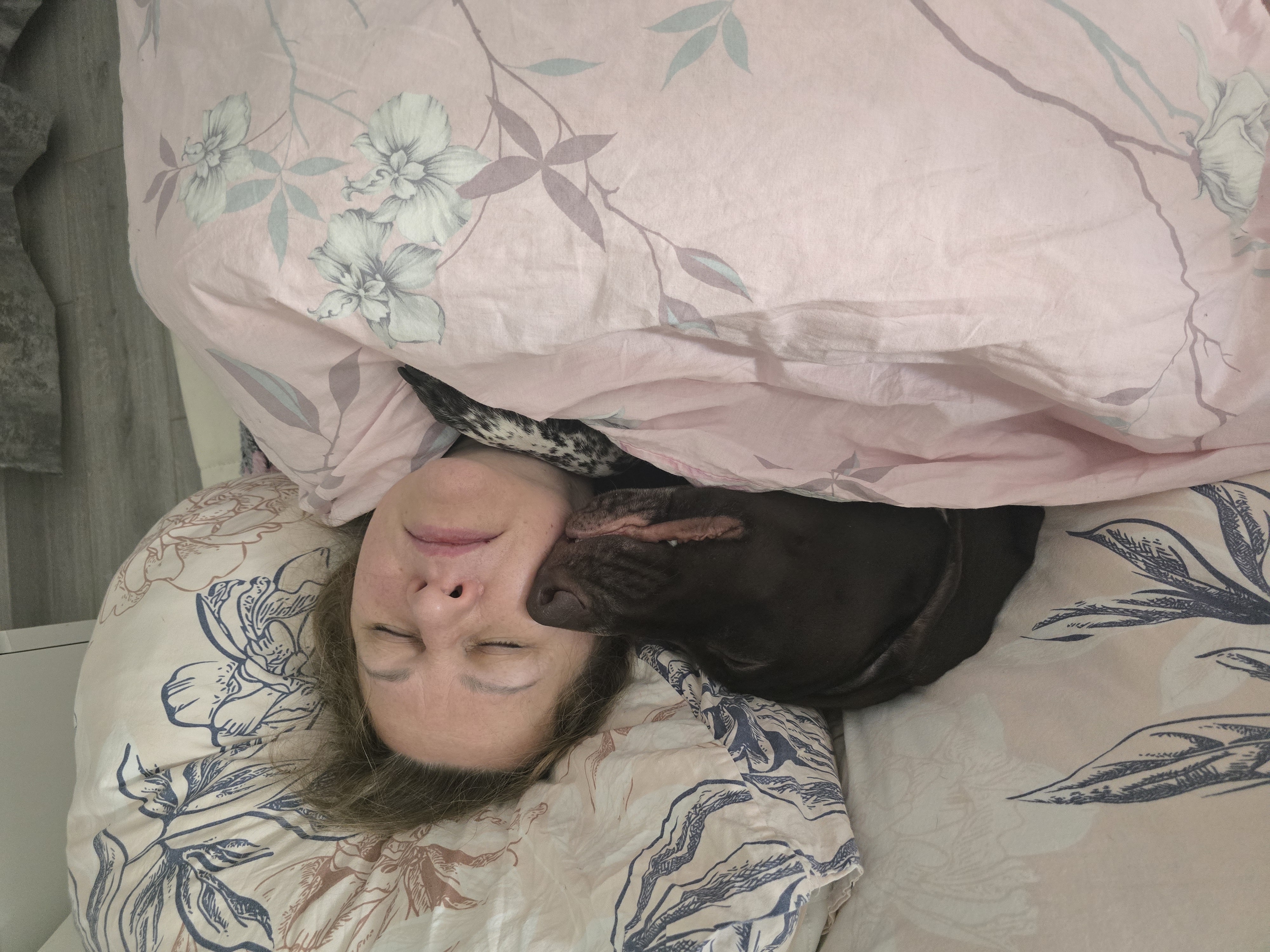 Новый год 2026